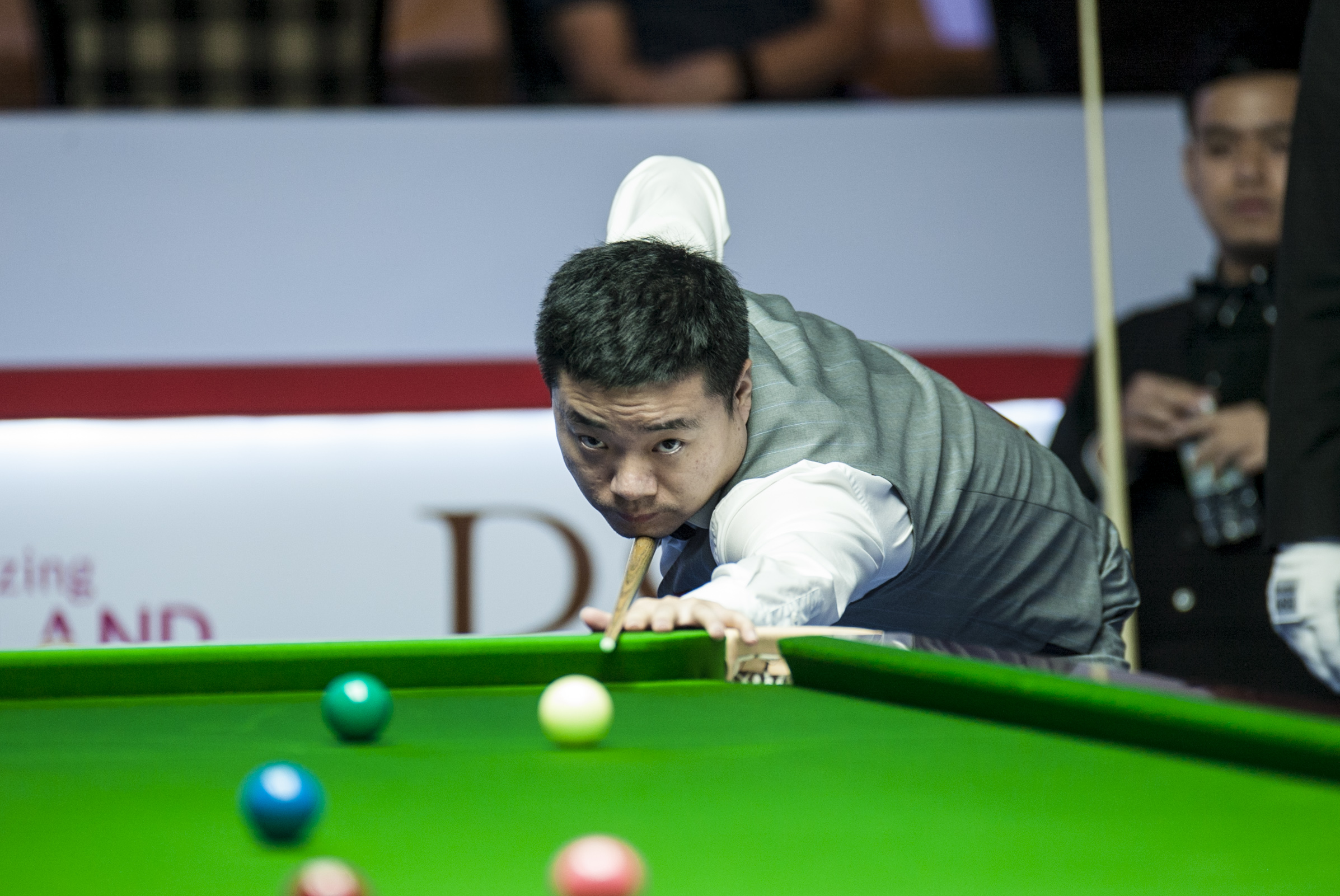 沧州雄狮 沧州雄狮